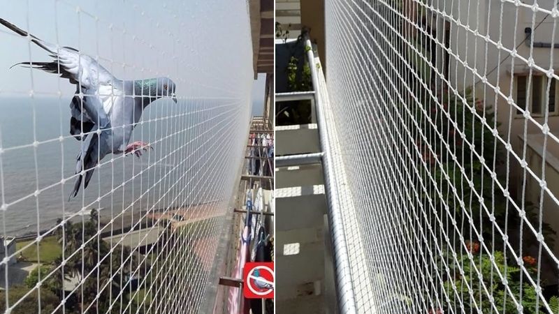 Pigeon Safety Nets