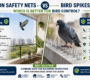 Pigeon Safety Nets